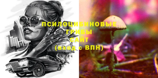 дмт Алексеевка