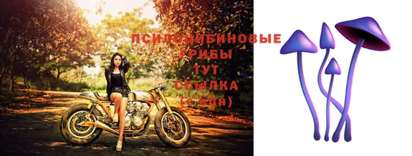 дмт Алексеевка