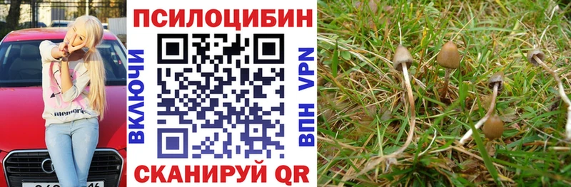 Псилоцибиновые грибы ЛСД Мураши